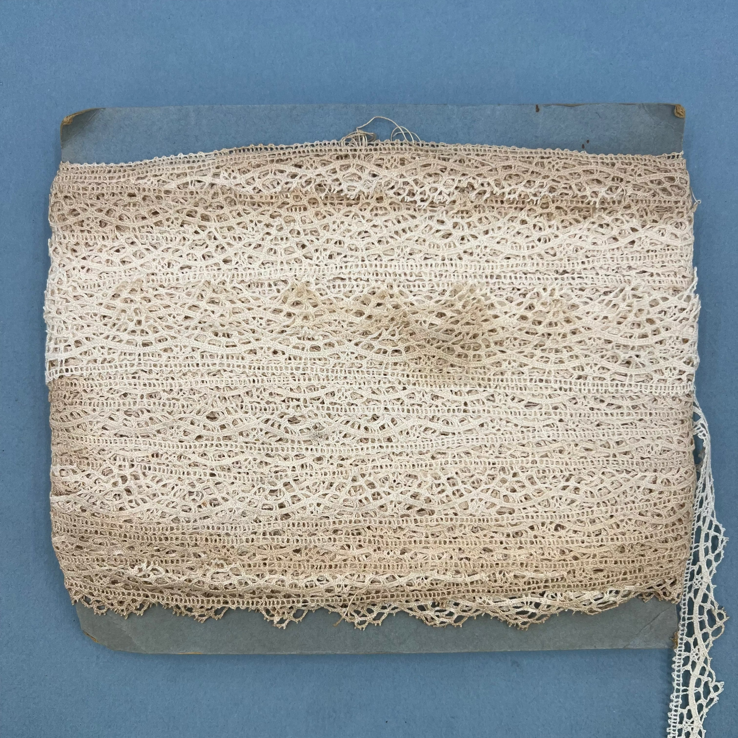 Wholesale Vintage French Lace Trim – 50m – Le Puy-en-Velay Cotton Lace