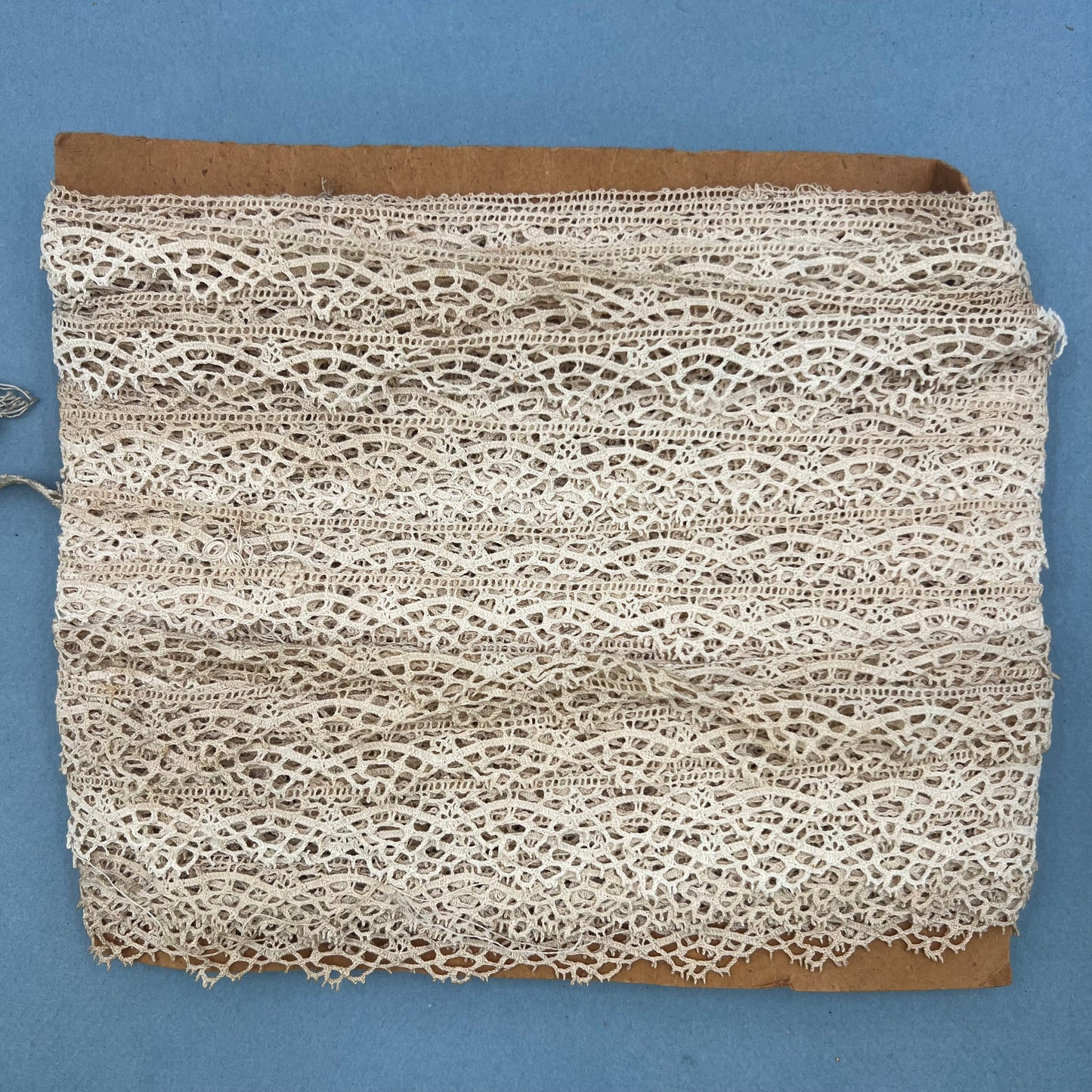 Wholesale Vintage French Lace Trim – 33m – Le Puy-en-Velay Cotton Lace