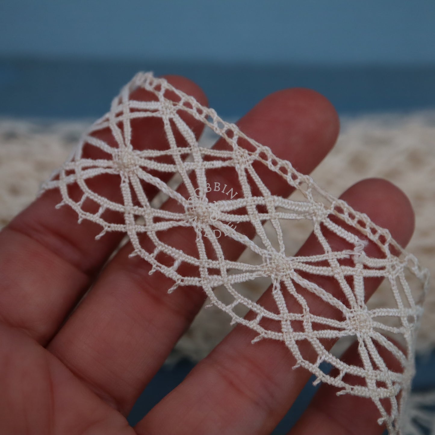 Vintage French Lace Border – 9m Bobbin Cotton Trim