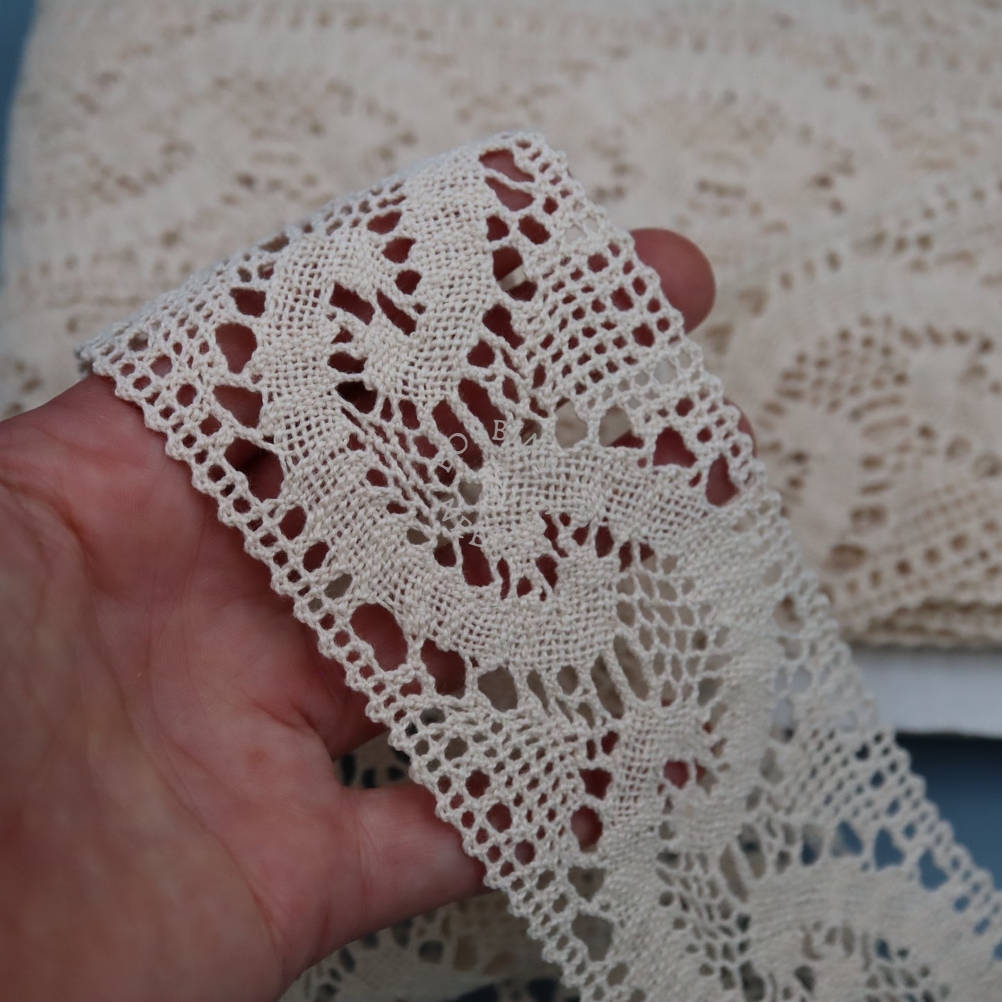 Vintage French Lace Border - 21m Cotton Insertion Trim