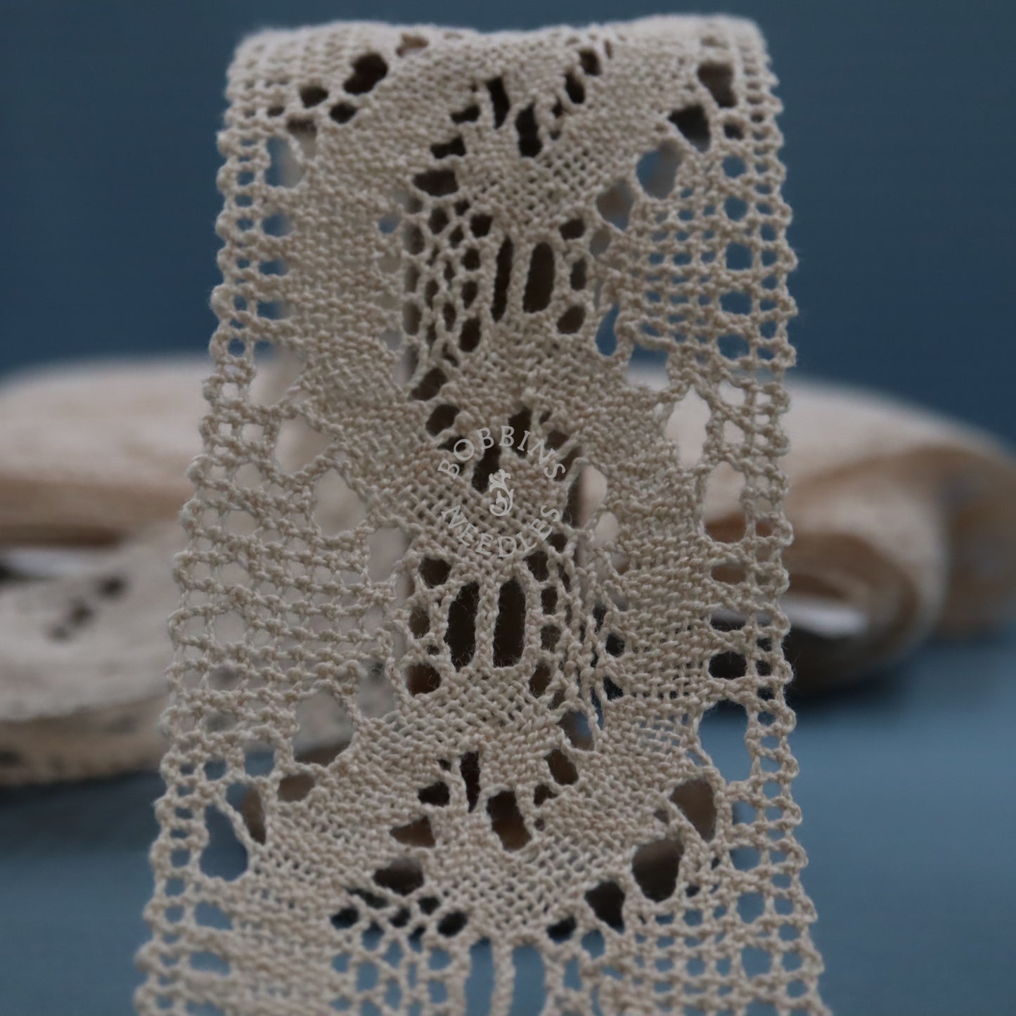 Vintage French Lace Border - 21m Cotton Insertion Trim