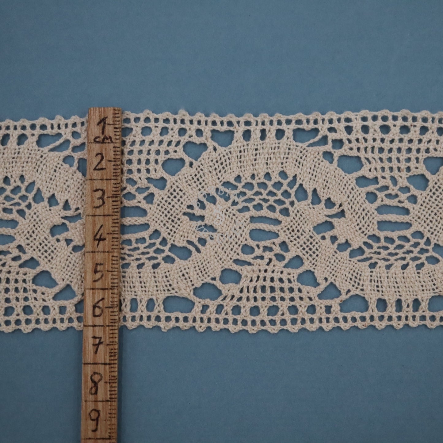 Vintage French Lace Border - 21m Cotton Insertion Trim